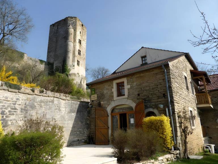 Rental apartment with garden & terrace | Pet-friendly in Dijon