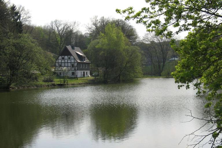 foto12