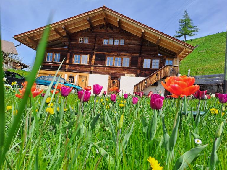 Ferienhaus in Diemtigen, Horboden für max. 8 Gäste