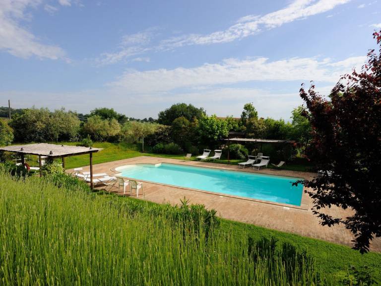 La Torriola Spighe — photo 4
