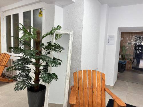 Serviced apartment with patio, sauna & jacuzzi | Pets are welcome — photo 4