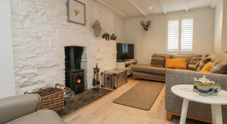 Ample house | Pets are welcome in Wadebridge