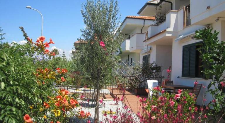 Spacious apartment | Pet-friendly in Ricadi