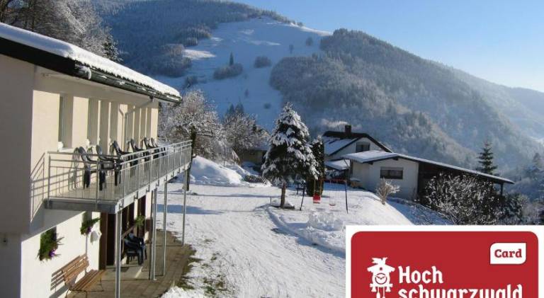 Steiert Panorama Apartments Todtnau in Todtnau