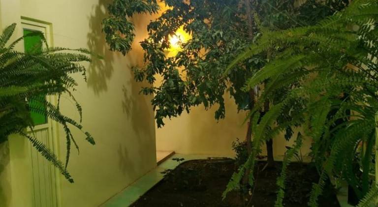 foto14