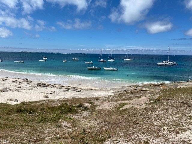 foto18
