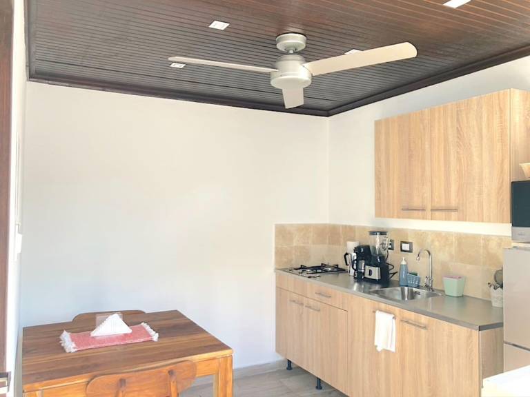 Spacious holiday apartment with pool, yard & jacuzzi | Close to the beach | Pets allowed — photo 4