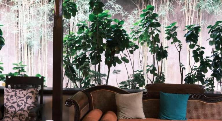 Villia magnolia sanur bali 巴厘島玉蘭別墅 — photo 4
