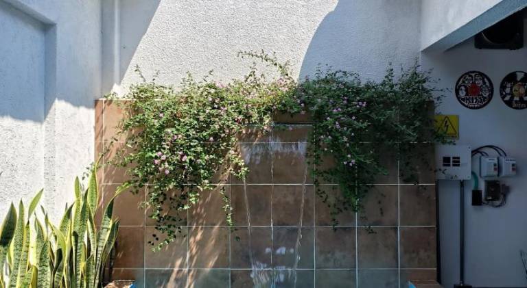 foto8