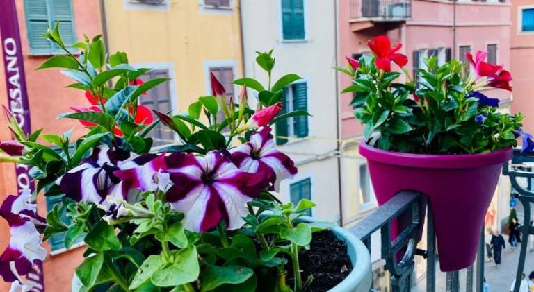 Holiday apartment with 2 rooms for 6 persons in Vezzano Ligure