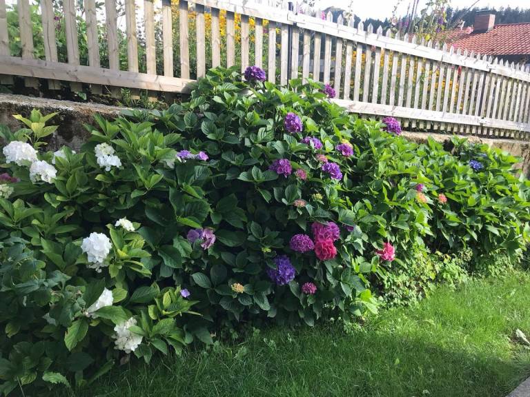 foto28