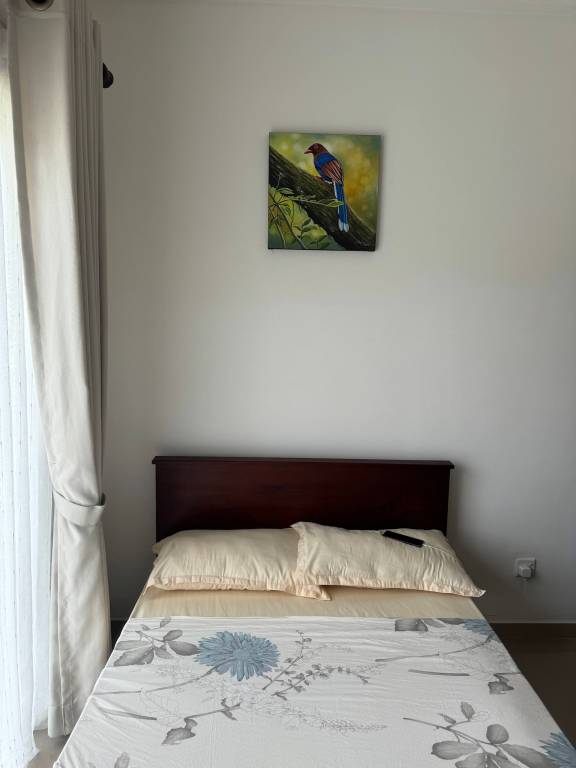 foto30