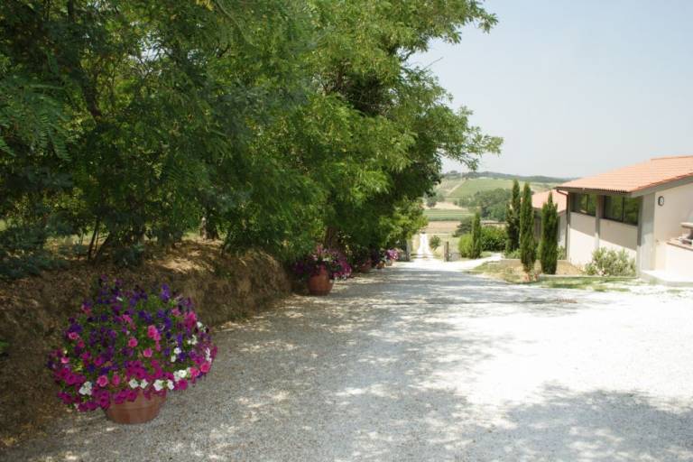 foto6
