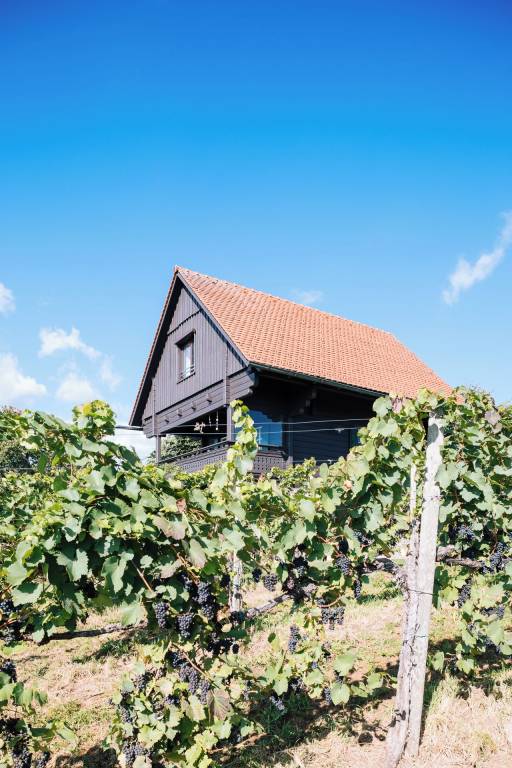 Chalet Zirknitz