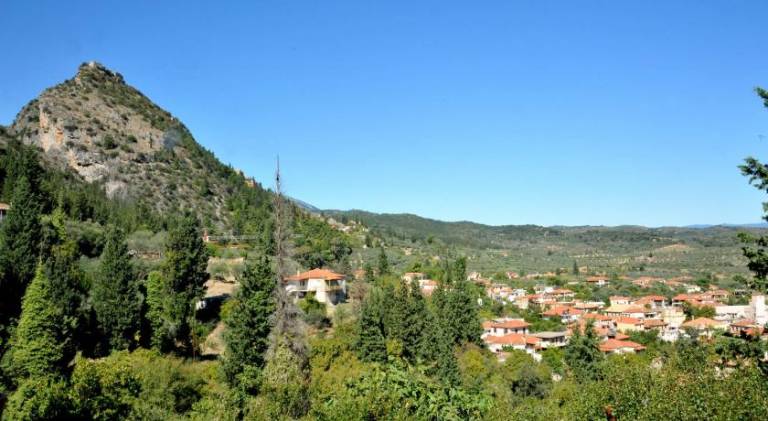 foto6
