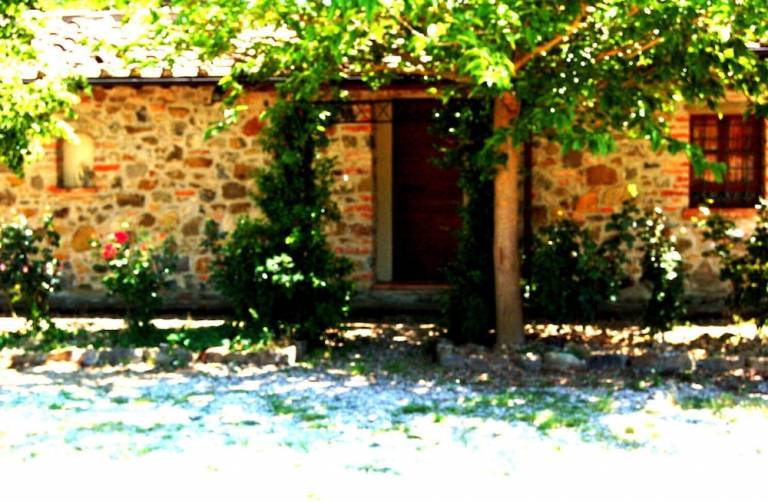 Apartment  Rapale