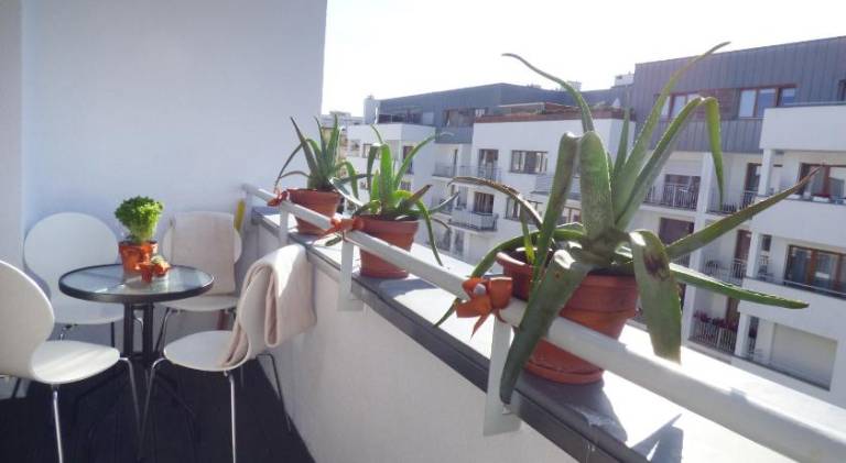 Holiday apartment with 1 room for 5 persons — photo 4
