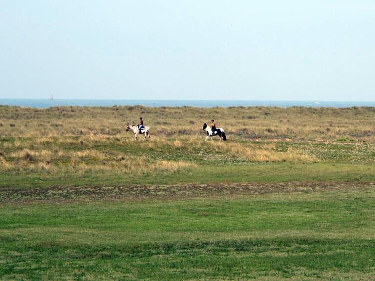 Ferienhaus Regnéville-sur-Mer