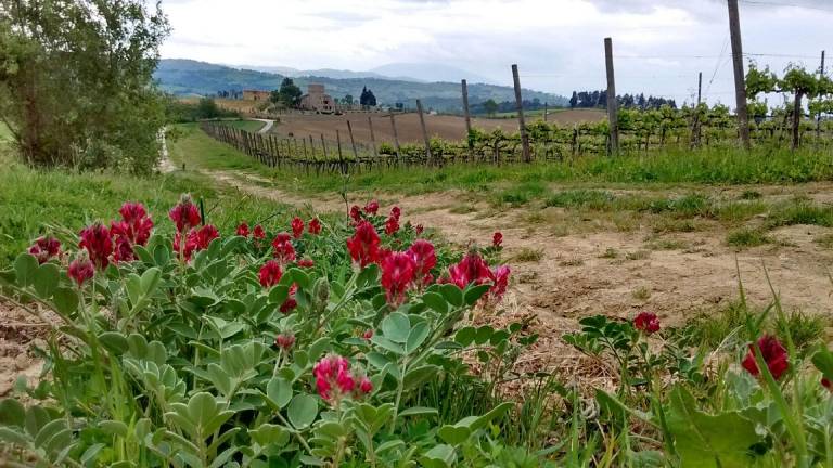 Appartamento vacanza Assisi