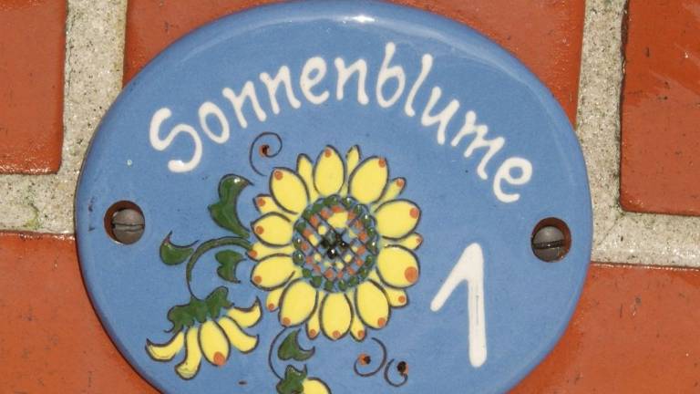 Ferienwohnung  Hasselberg
