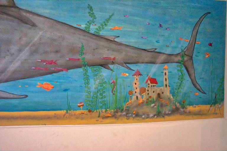 foto6