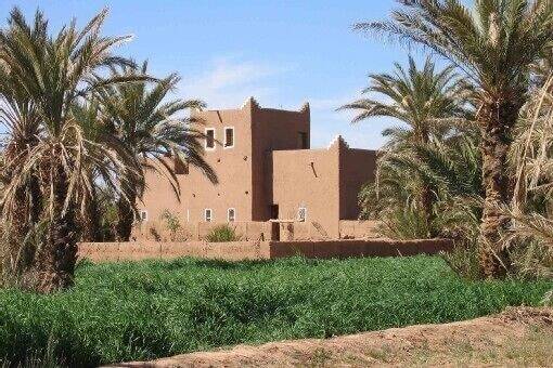 Riad Mhamid