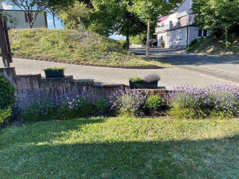 foto20