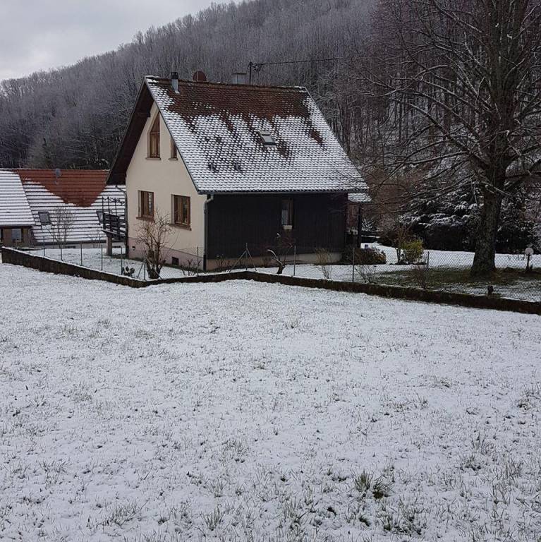 foto44