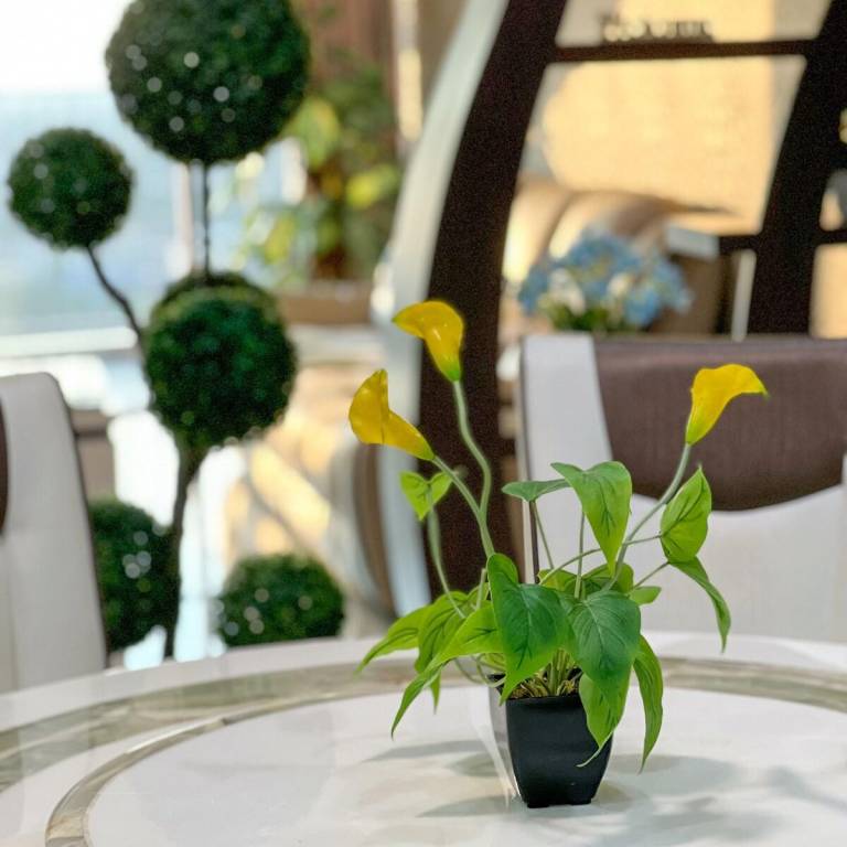 foto7