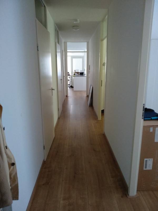 foto4