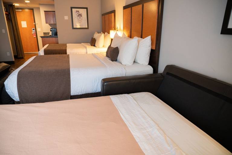 Superior Hotel Room - 2 Queens Sofa Bed — photo 5