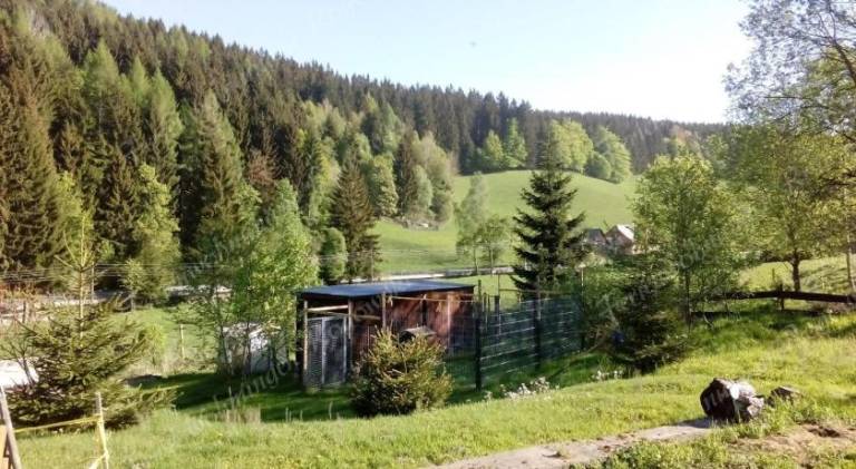 foto33