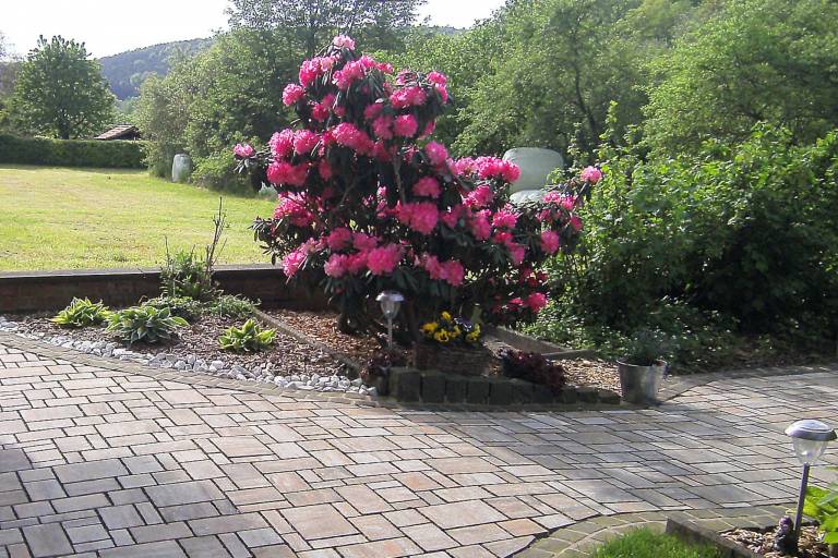 foto35