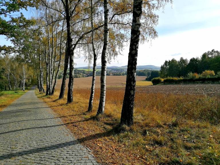 foto45