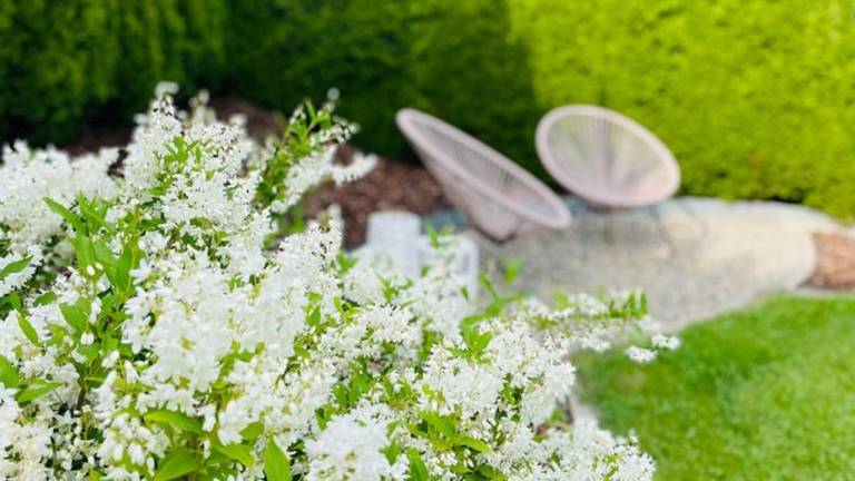 Ferienwohnung in Sankt Georgen am Kreischberg, Sankt Ruprecht ob Murau f&uuml;r max. 2 Personen