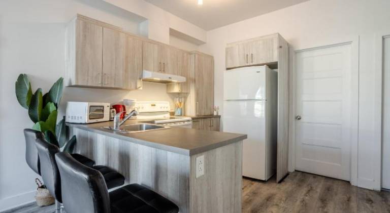 Bright and Beautiful 3 Bedroom in Griffintown — photo 3