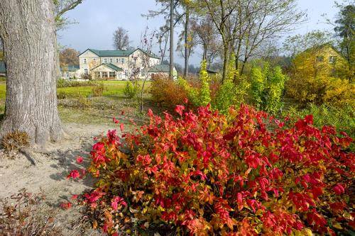 Bed & Breakfast Grunwald