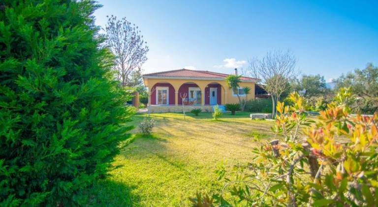 Fully equipped big house with yard, barbecue & terrace | Perfect for remote work | Dogs allowed — photo 4