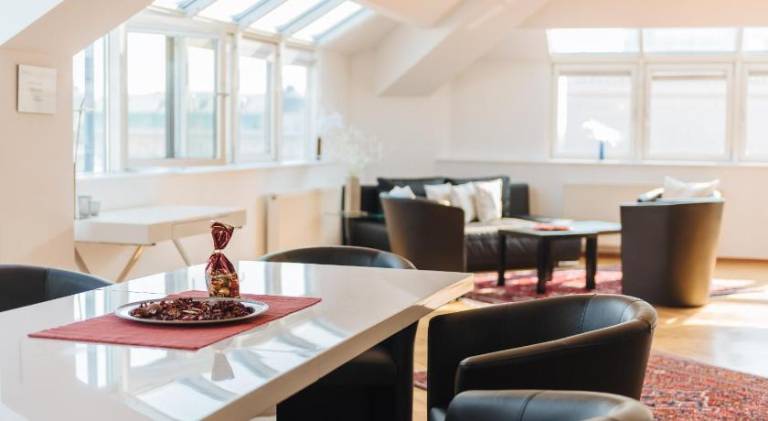 Nice serviced apartment with terrace | Near St. Stephen's Cathedral | Dogs allowed — photo 4