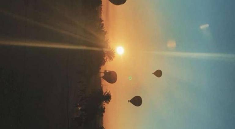 Quiet Private Room with Kitchen Access Perfect for Travelers