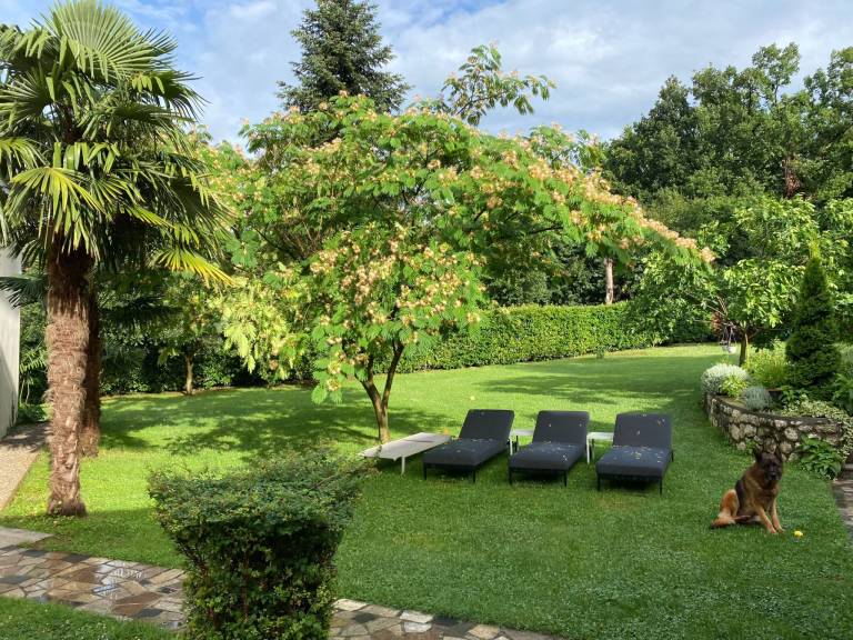 Ferienwohnung  Bregi