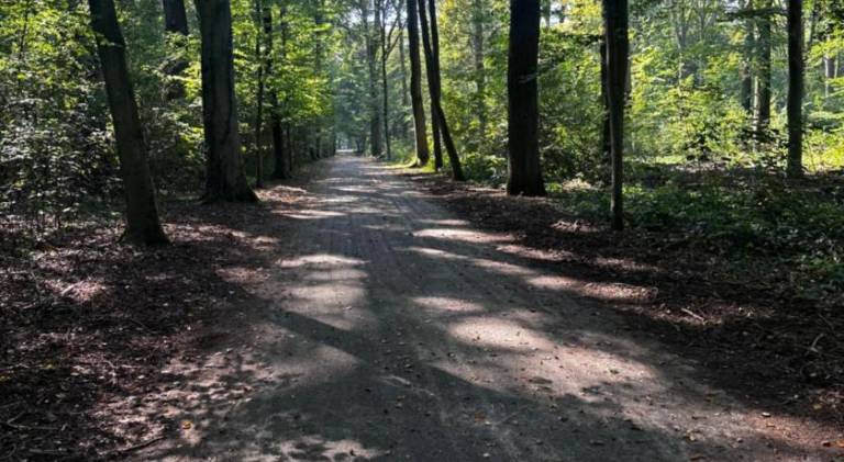 foto11