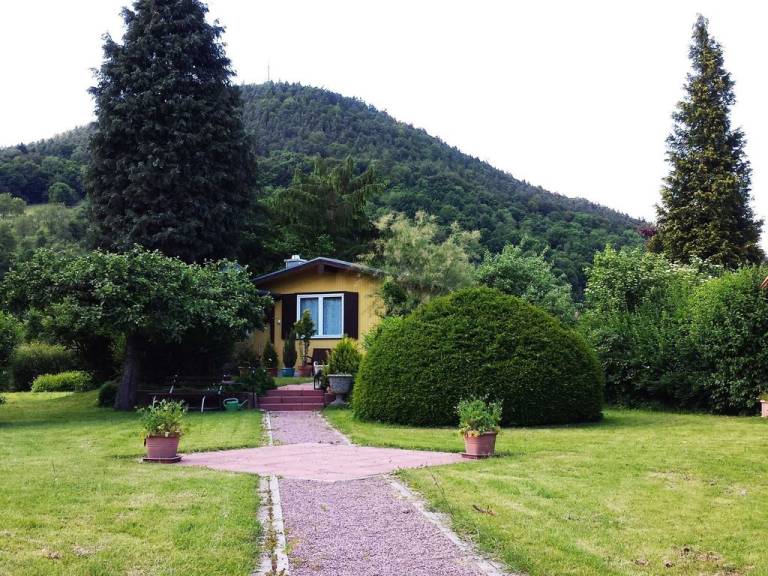 foto15