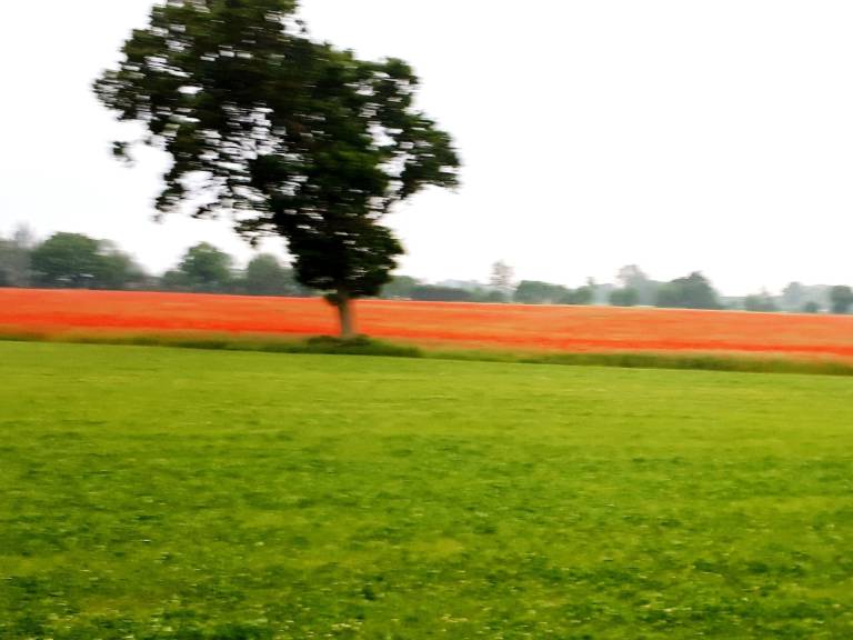 foto11