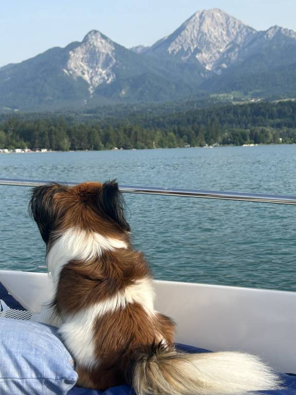 Ferienwohnung Faaker See