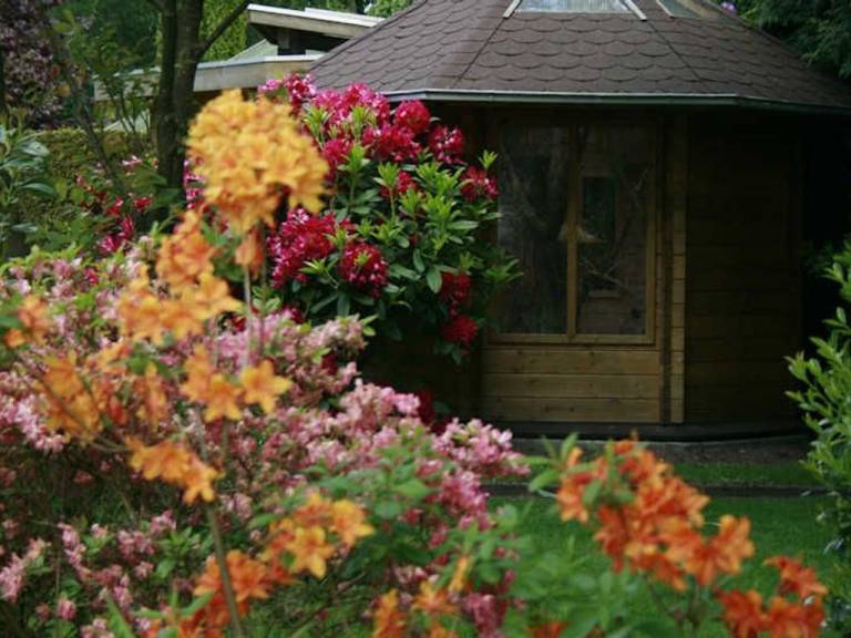 foto35