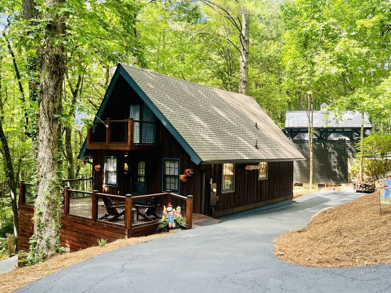 Cabin  Dillard
