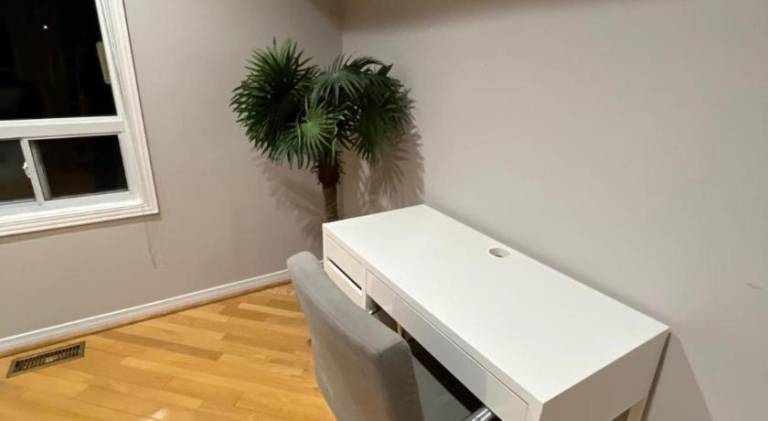 foto35