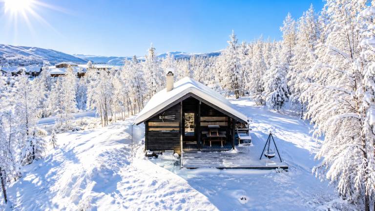 Hütte Geilo