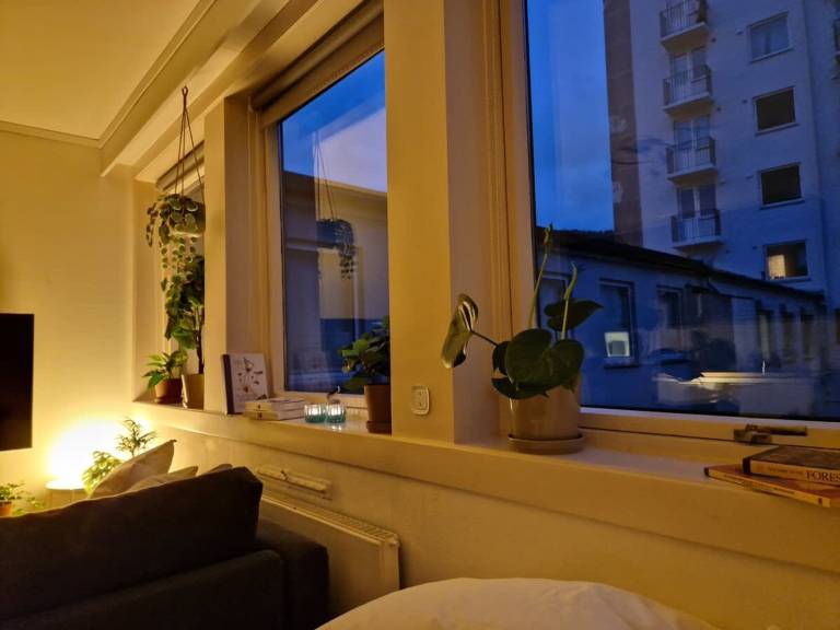 foto9